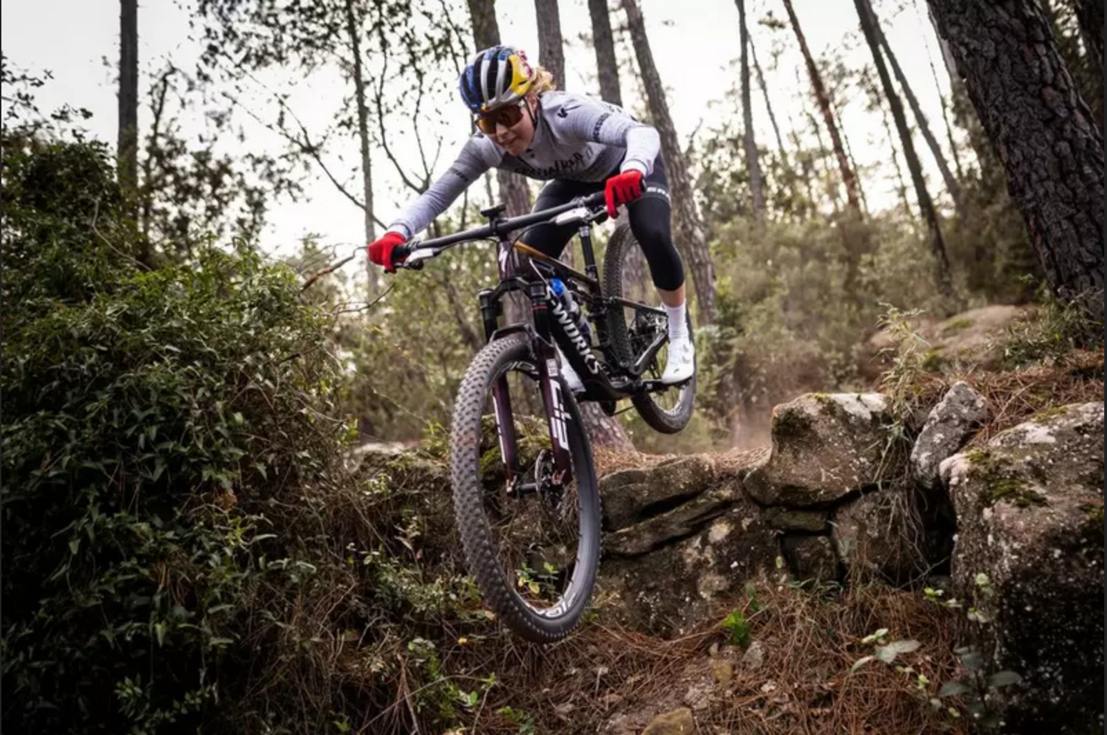 Specialized Mountain Bikes