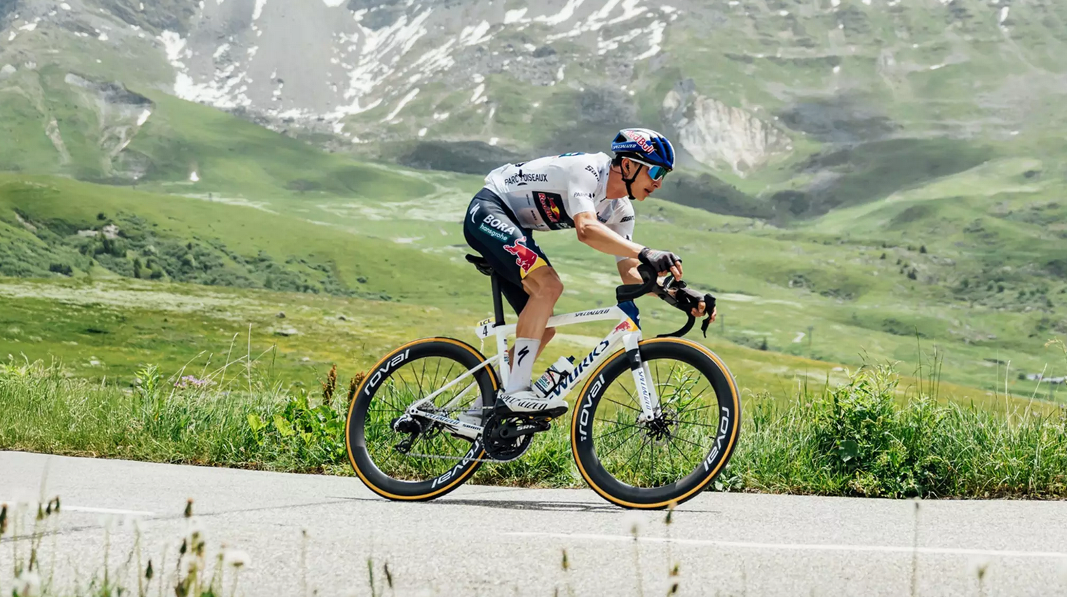 Specialized Road Bikes