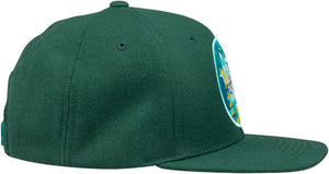 Tundra Buds Snapback Hat