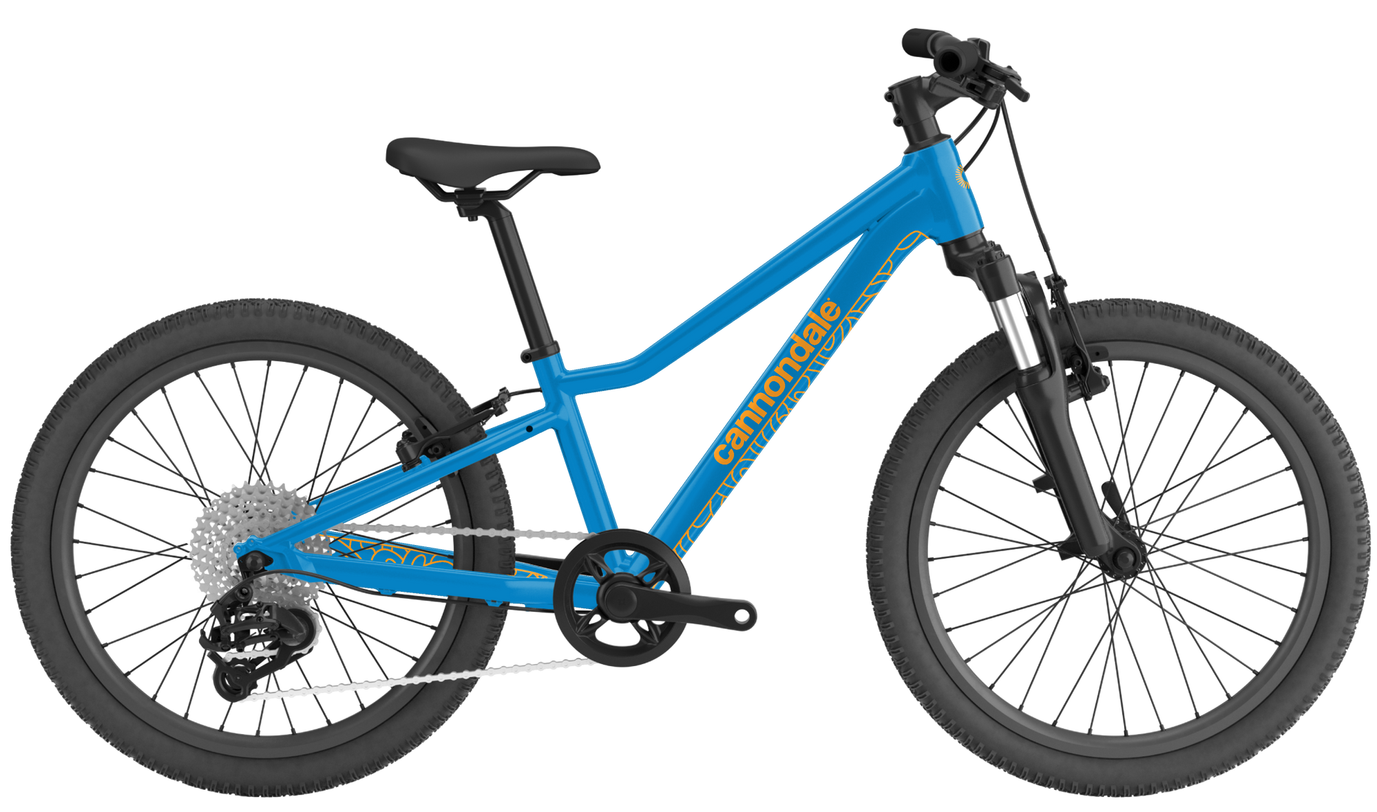 Cannondale trail sales 20 used