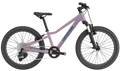 Cannondale Kids Trail 20
