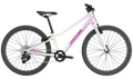 Cannondale 兒童快速 24