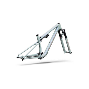 S-Works Epic 9 Frameset