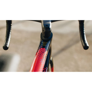 S-Works Tarmac SL8 Team Frameset: SD Worx - Protime