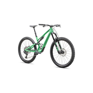 Stumpjumper 15 Expert