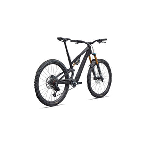 Stumpjumper 15 EVO Pro