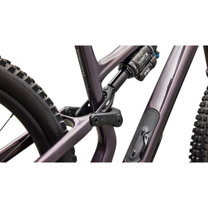 Stumpjumper 15 EVO Expert Di2