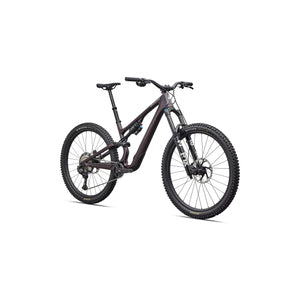 Stumpjumper 15 EVO Expert Di2