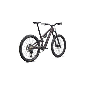 Stumpjumper 15 EVO Expert Di2