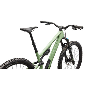 Stumpjumper 15 EVO Expert Di2