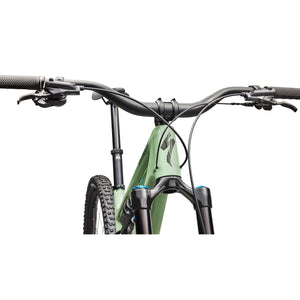 Stumpjumper 15 EVO Expert Di2