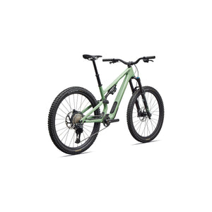 Stumpjumper 15 EVO Expert Di2