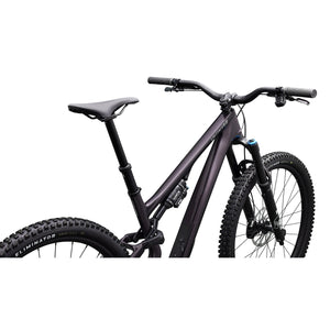 Stumpjumper 15 EVO Expert AXS