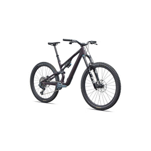 Stumpjumper 15 EVO Expert AXS