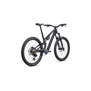 Stumpjumper 15 EVO Expert AXS