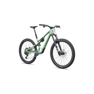 Stumpjumper 15 EVO Expert AXS