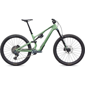 Stumpjumper 15 EVO Expert AXS