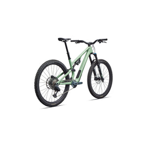 Stumpjumper 15 EVO Expert AXS