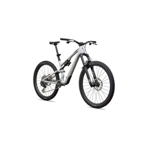 S-Works Stumpjumper 15 EVO