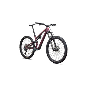 Stumpjumper 15 EVO Expert