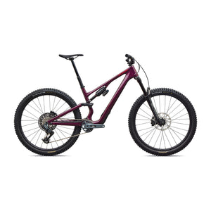Stumpjumper 15 EVO Expert