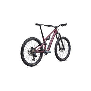 Stumpjumper 15 EVO Expert