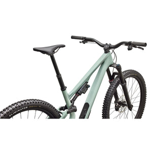 Stumpjumper 15 EVO Expert