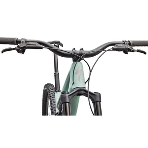 Stumpjumper 15 EVO Expert