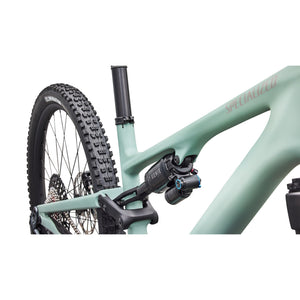 Stumpjumper 15 EVO Expert