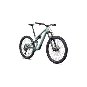 Stumpjumper 15 EVO Expert