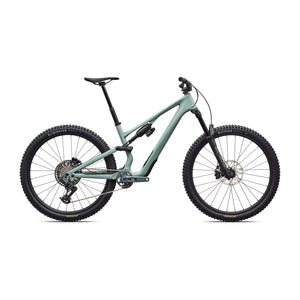 Stumpjumper 15 EVO Expert
