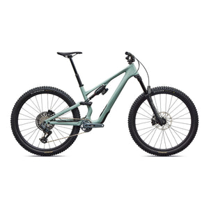 Stumpjumper 15 EVO Expert