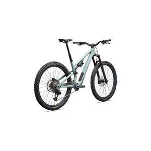 Stumpjumper 15 EVO Expert