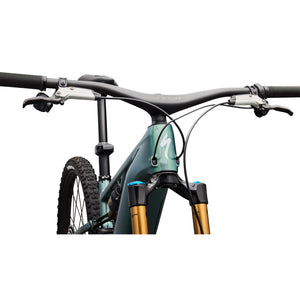 S-Works Turbo Levo R