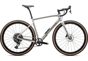 Specialized Diverge Expert Carbon