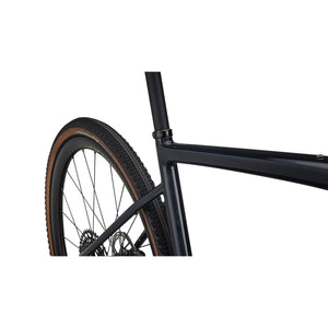 Diverge Expert Carbon