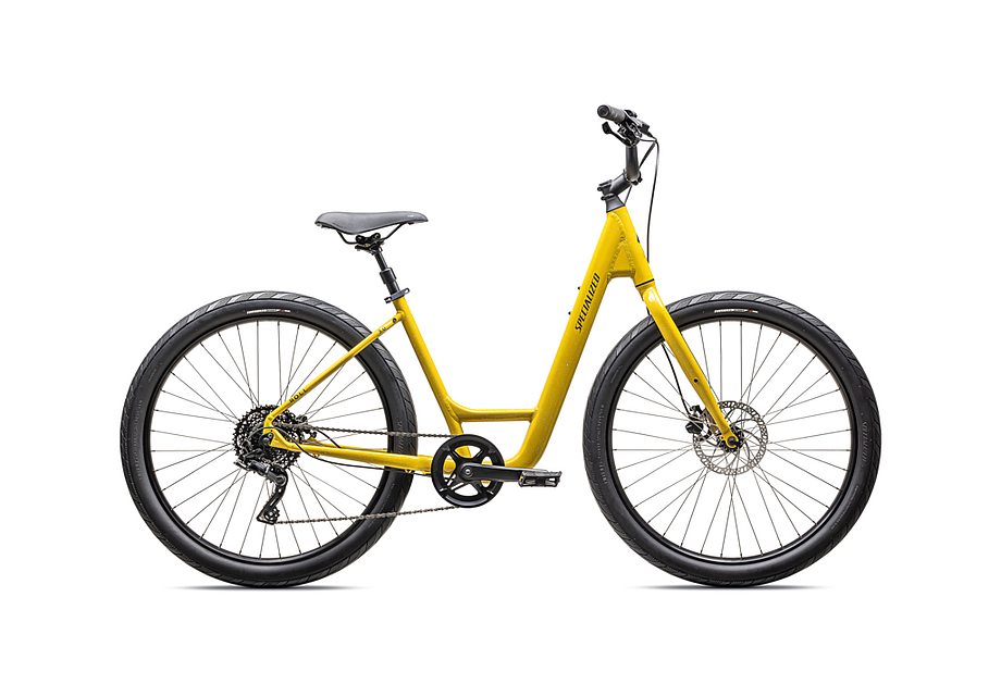 Specialized Roll 3.0 Low Entry