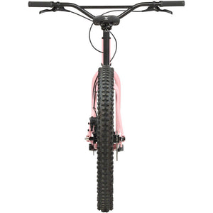 Lowside Bike - New Pig Smell