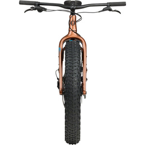 Heyday! CUES Fat Bike - Bronze