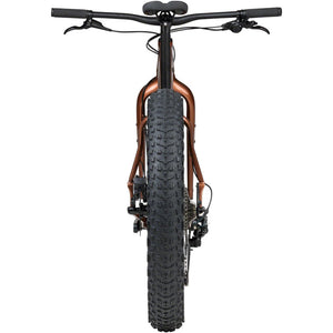 Heyday! CUES Fat Bike - Bronze