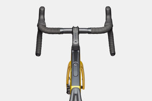 2025 Synapse Carbon 5