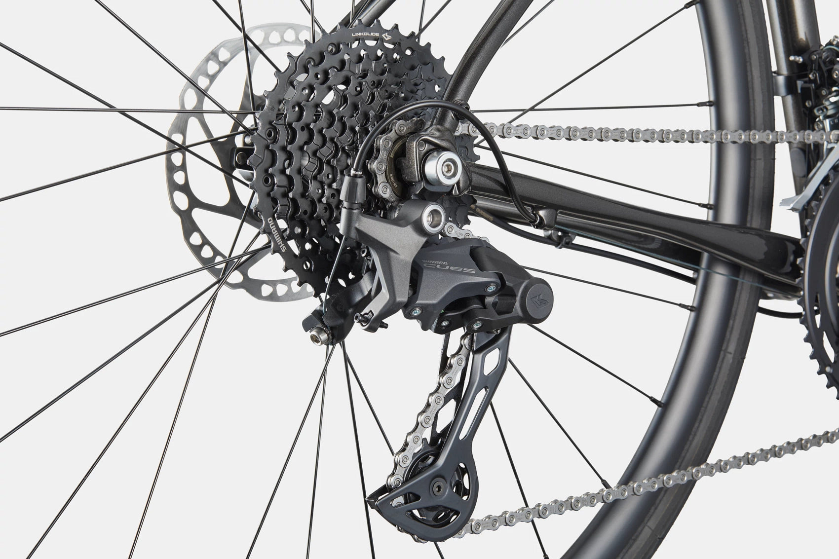 2025 Synapse 2