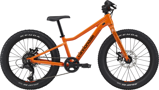 Cannondale Kids Trail Plus 20