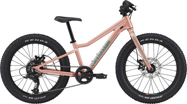 Cannondale Kids Trail Plus 20