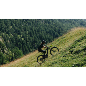 S-Works Turbo Levo 4