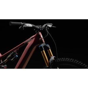 S-Works Turbo Levo 4