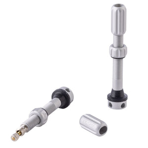 Alloy Tubeless Valves