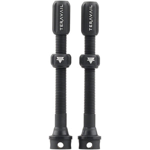 Alloy Tubeless Valves