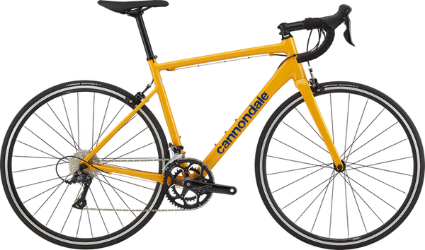 【2025】お歳暮・冬ギフト 2023 CAAD Optimo 3 - Huckleberry Bicycles 自転車本体