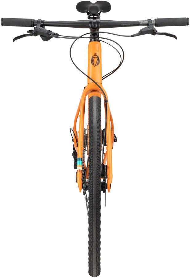 Salsa sales bikes online